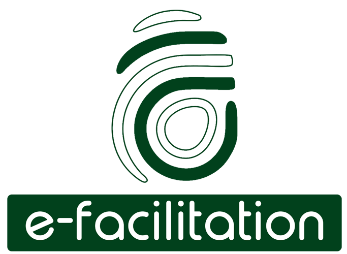 e-facilitation logo